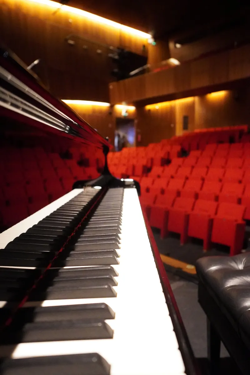 Teclas do piano de cauda com a plateia ao fundo